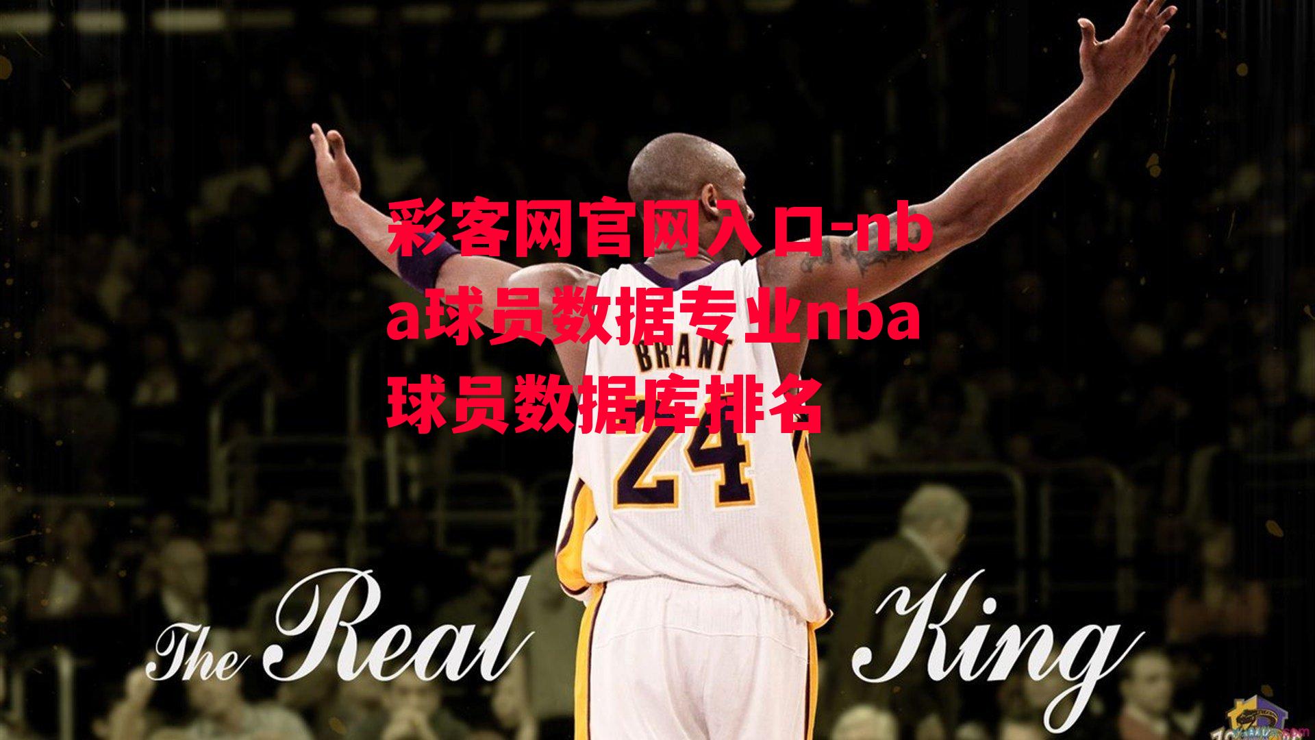 彩客网官网入口-nba球员数据专业nba球员数据库排名